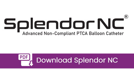 Splendor NC